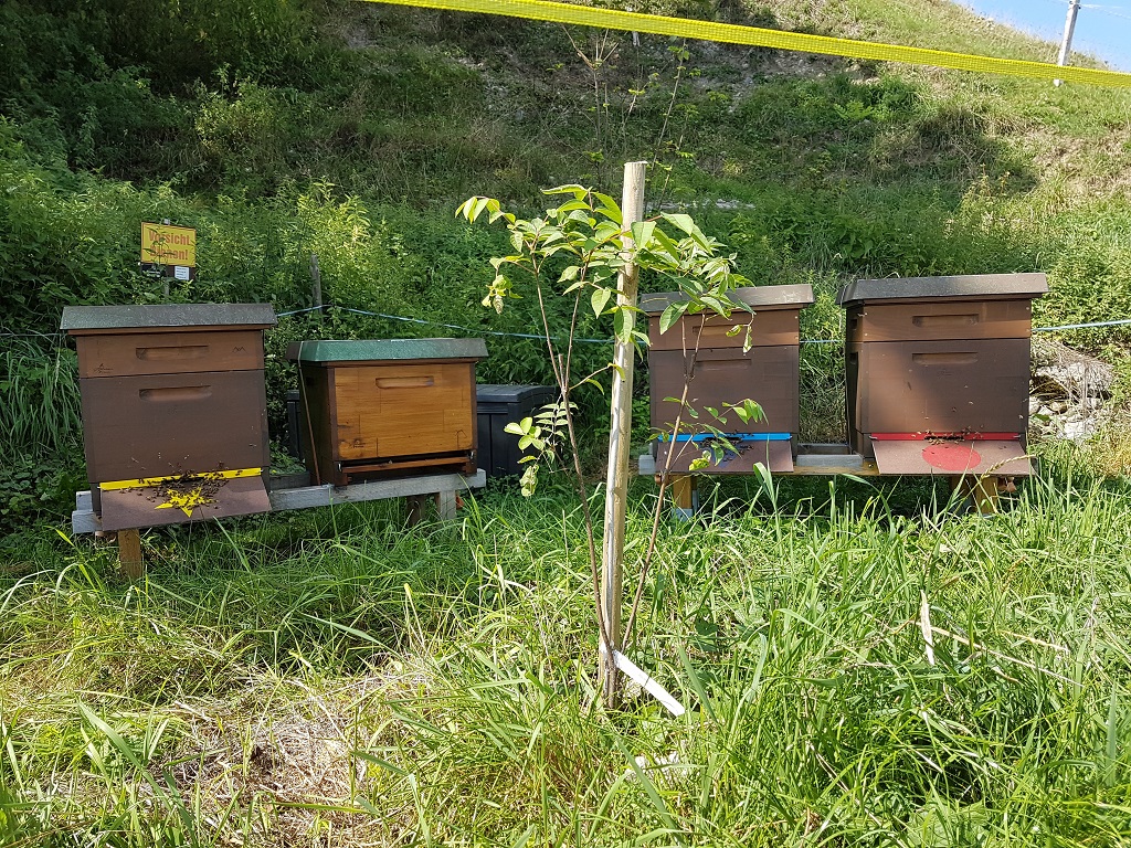 Standort Kehrsatz